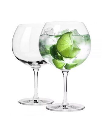 (2x) Verres à Gin Tonic 670ml - DUET 3
