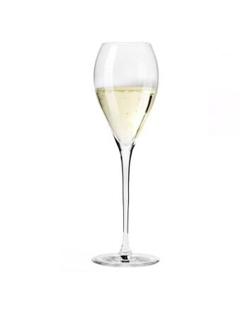 (2x) Verres à Champagne 225ml - DUET 2