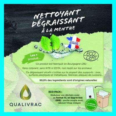 Detergente Sgrassante Ecologico Menta - 10 litri (Bag-In-Box)