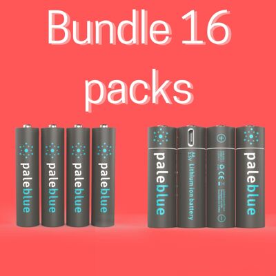 ESSENTIAL BUNDLE 16 PACKS: AA (8 packs) AND AAA (8 packs)