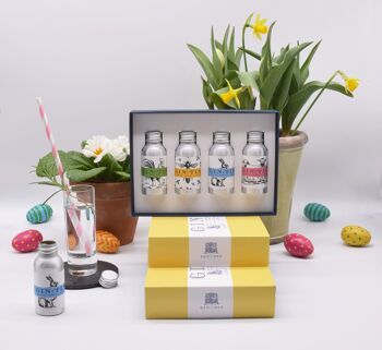 Boîte-cadeau de quatre boissons de Pâques (caisse de 12)