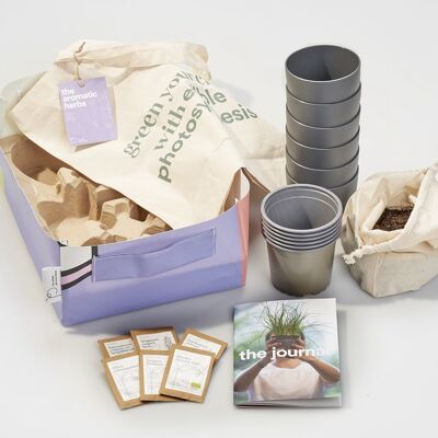Grow Kit - Le Erbe Aromatiche