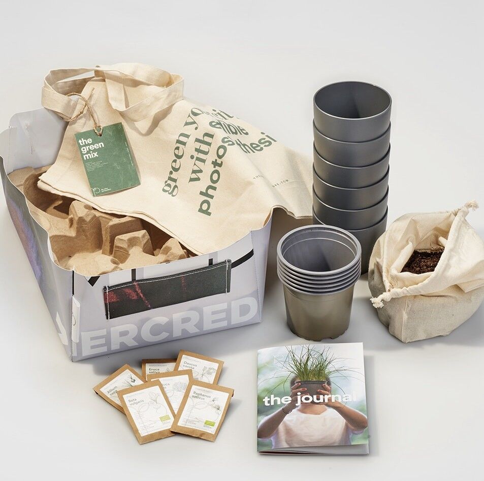 Kit de culture - The Green Mix