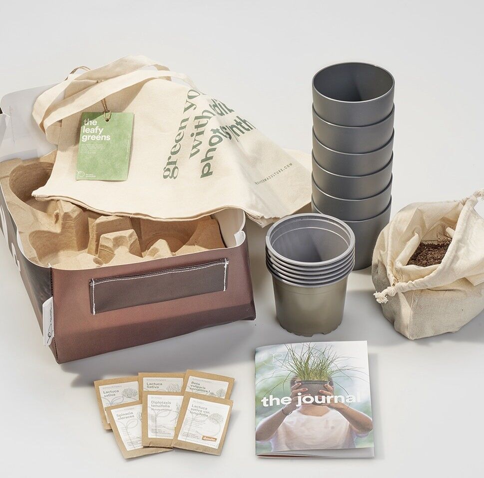Kit de culture de légumes verts à feuilles - The Leafy Greens