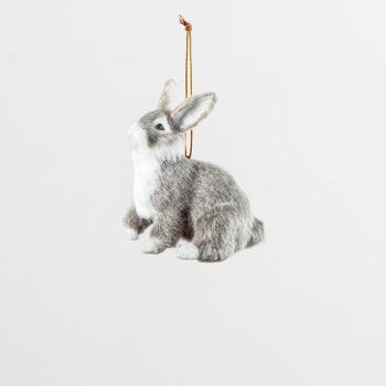 Lapin gris debout