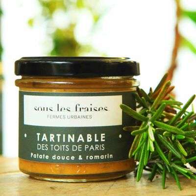 Tartinable - Patate douce & Romarin
