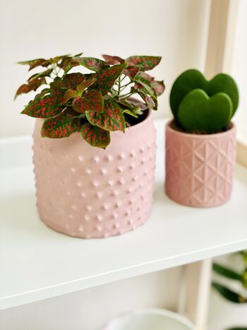 Cache-pot rose en jesmonite 7