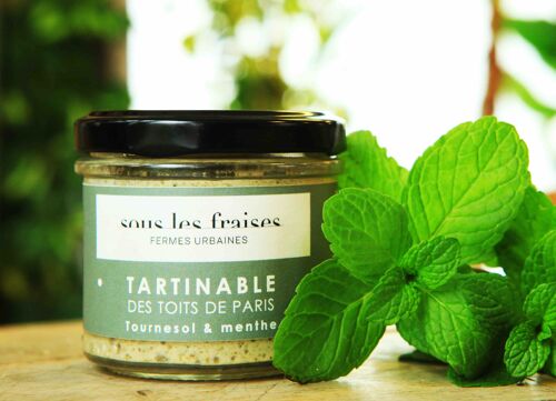 Tartinable - Tournesol & Menthe