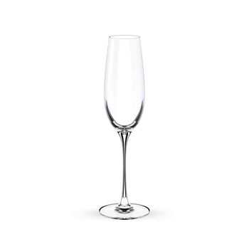 Champagne Flute Set of 2 in Color Box WL‑888048/2C 2