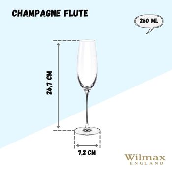 Champagne Flute Set of 2 in Color Box WL‑888048/2C 3