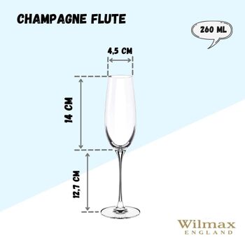 Champagne Flute Set of 2 in Color Box WL‑888048/2C 4