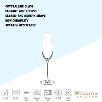 Champagne Flute Set of 2 in Color Box WL‑888048/2C 5