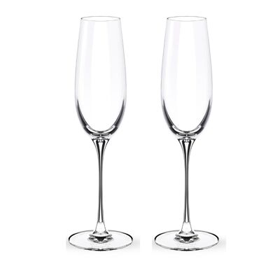 Champagne Flute Set of 2 in Color Box WL‑888048/2C