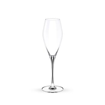 Champagne Flute Set of 2 in Color Box WL‑888050/2C 2