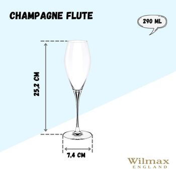 Champagne Flute Set of 2 in Color Box WL‑888050/2C 3