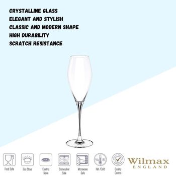 Champagne Flute Set of 2 in Color Box WL‑888050/2C 5
