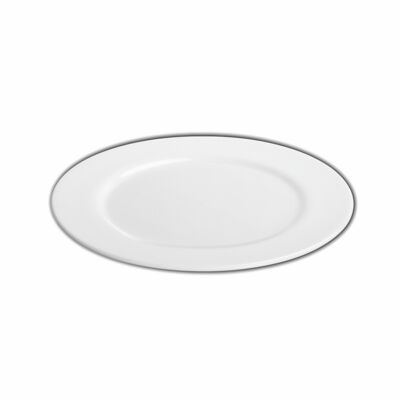 Professional Dinner Plate WL‑991179/A