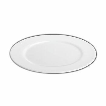 Professional Dinner Plate WL‑991181/A 1