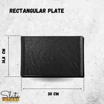 Rectangular Plate WL‑661109/A 2