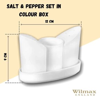 Salt & Pepper Set in Color Box WL‑996117/1C 2