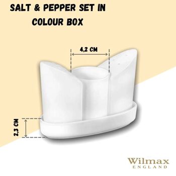 Salt & Pepper Set in Color Box WL‑996117/1C 3