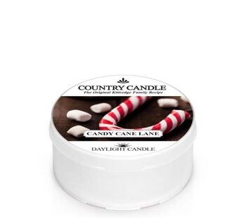 Bougie parfumée Candy Cane Lane Lumière du jour