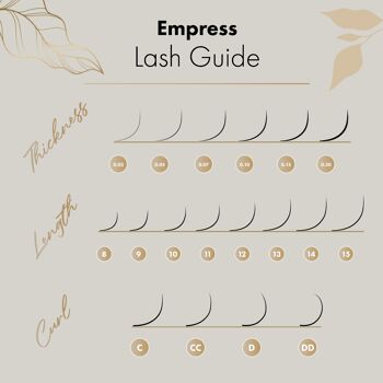 0.15 - D CURL - LONGUEUR MIXTE - EXTENSIONS DE CILS INDIVIDUELLES EMPRESS CLASSIC 16 RANGÉES 4