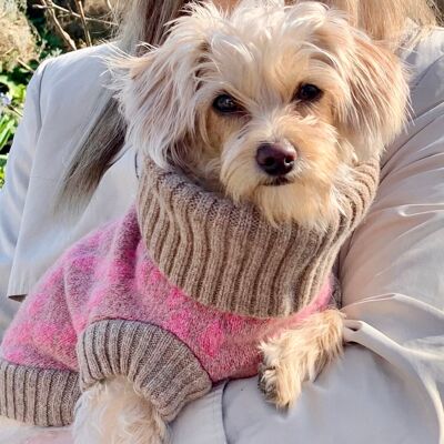 Lucy Dog Jumper in Pink