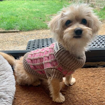 Paddy Dog Jumper - Pink Hinchcliffe Lambswool