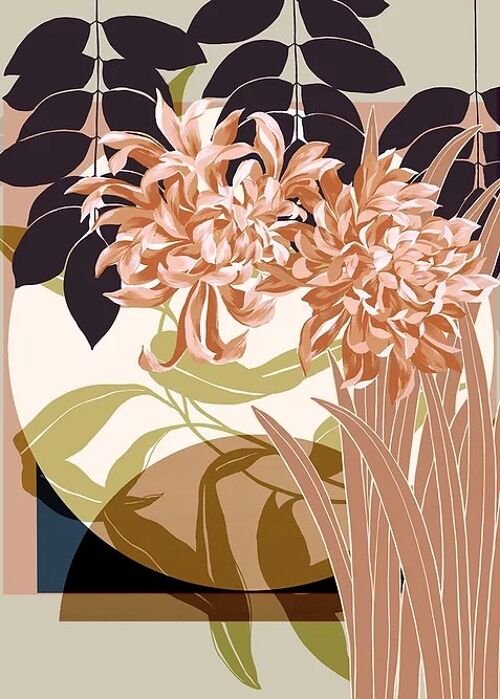 Painted crysanthemum - a3