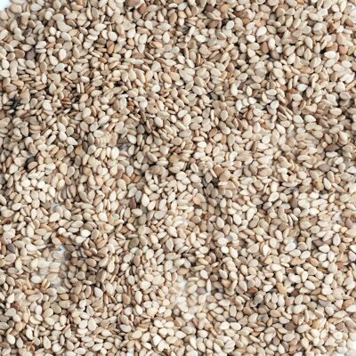 Whole sesame grilled Bio BULK 5KG