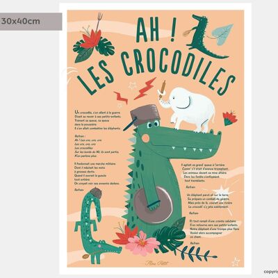 Poster 30x40 - Ah crocodiles!