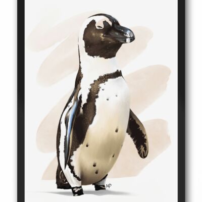 Humboldt Penguin Bird Art Print & Canvas - A4 Print (210 x 297mm)