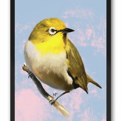 Indian White-Eye Bird Art Print & Canvas - A4 Print (210 x 297mm)
