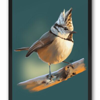 Crested Tit Bird Art Print & Canvas - A3 Print (297 x 420mm)
