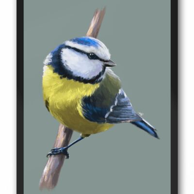 Blue Tit Bird Art Print & Canvas - A4 Print (210 x 297mm)