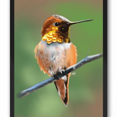 Hummingbird Art Print & Canvas - A4 Print (210 x 297mm)