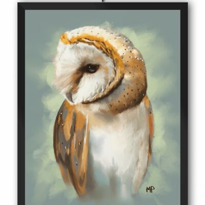 Barn Owl Bird Art Print & Canvas - A4 Print (210 x 297mm)