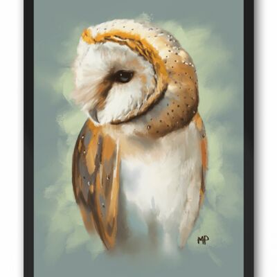Barn Owl Bird Art Print & Canvas - A3 Print (297 x 420mm)