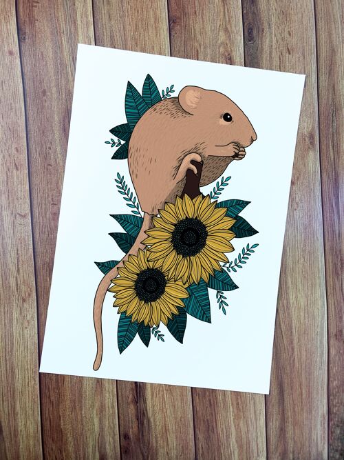A4 Dormouse and Sunflowers Art Print
