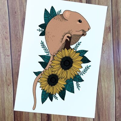 A4 Siebenschläfer und Sonnenblumen Kunstdruck