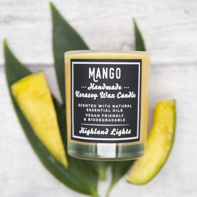 Mango Candle - kleine 9cl-Kerze