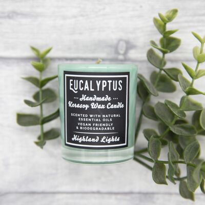 Eucalyptus Candles - small-9cl-candle