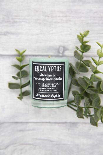 Bougies Eucalyptus - petite-bougie-9cl