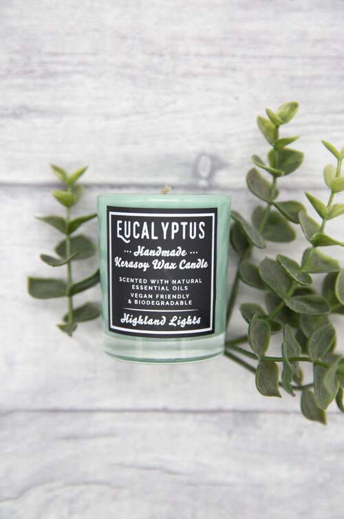 Eucalyptus Candles - small-9cl-trio