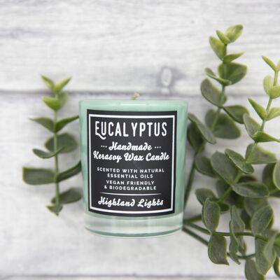 Eucalyptus Candles - small-9cl-trio