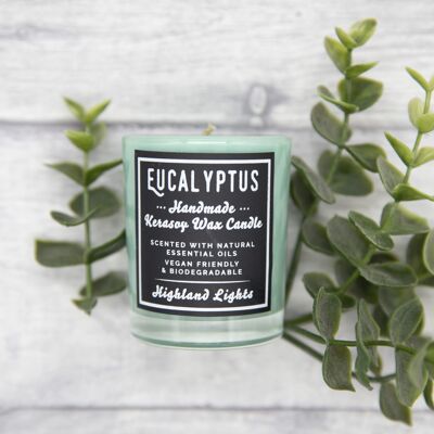 Eukalyptuskerzen - mittelgroße 20cl-Kerze