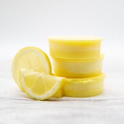 Zitronen-Feinkosttöpfe