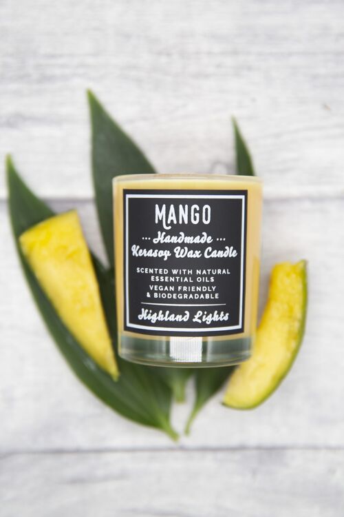 Mango Candle - medium-20cl-candle