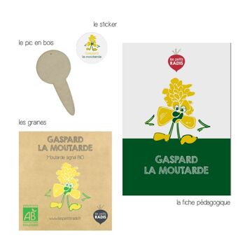 Mini kit de graines BIO de Gaspard la moutarde 4